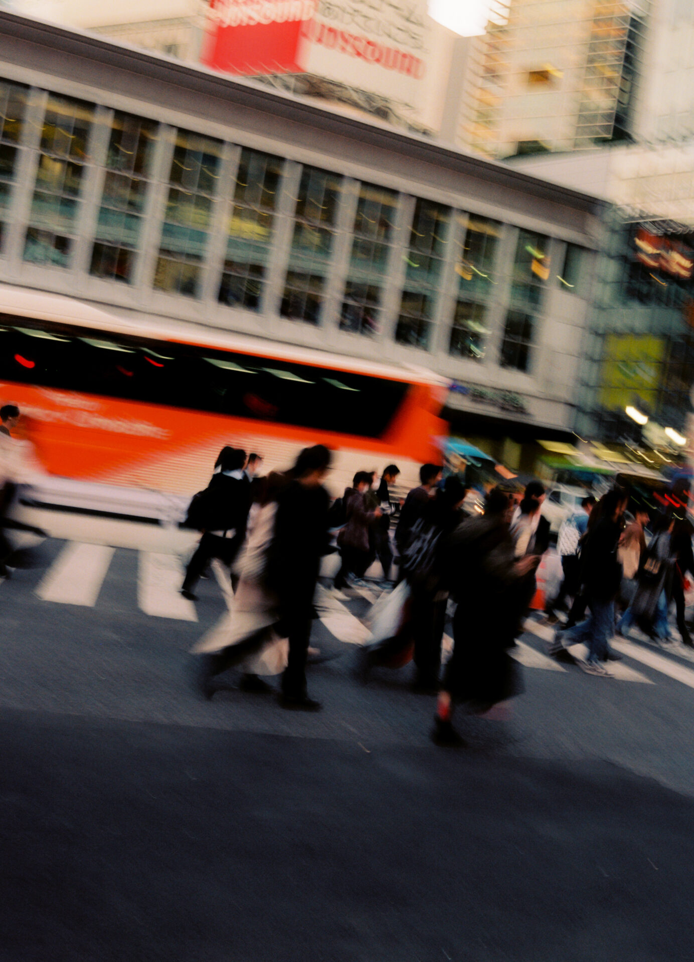 piarive_piarive-R31-E501